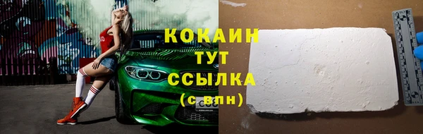шишки Нея