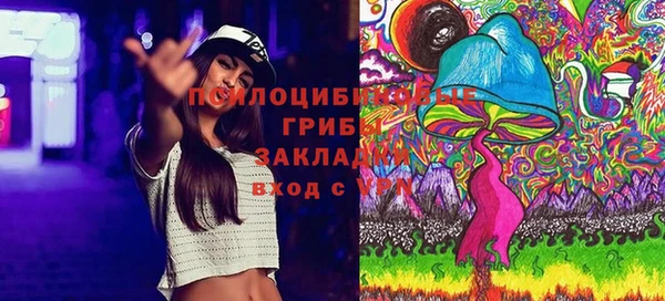 стаф Нефтекумск