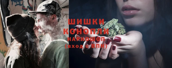 шишки Нея