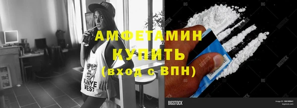 шишки Нея