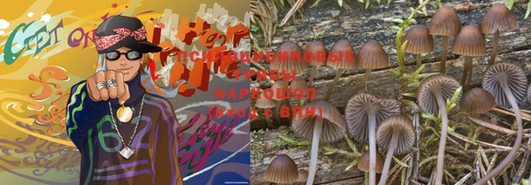 шишки Нея
