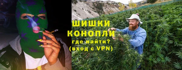 шишки Нея
