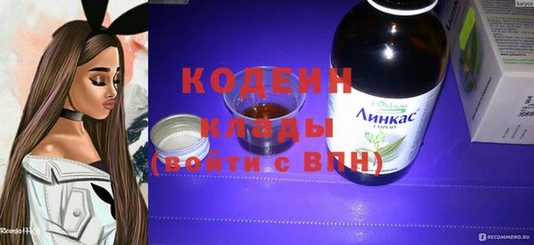 шишки Нея