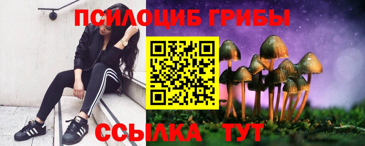 Галлюциногенные грибы прущие грибы Нижнекамск