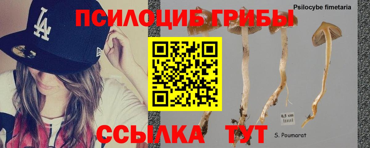 Галлюциногенные грибы мицелий  Псилоцибиновые грибы прущие грибы  Нижнекамск  Вход с VPN 